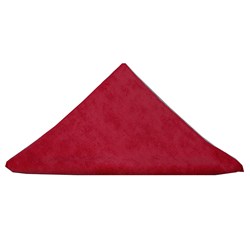 Cleanlink Microfibre Cloth General Purpose 40x40cm Red